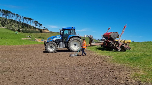 Planting peanuts manual planter Vs machine at the Te Tai Tokerau Water Trust site